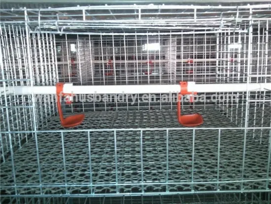 2016 hot sale Steel Wire Layer Chicken Cage for poultry farm house