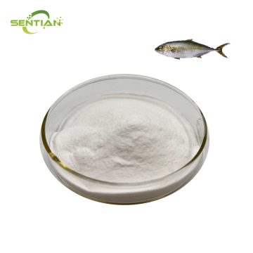 HIGH QUALITY FISH COLLAGEN EXTRACT