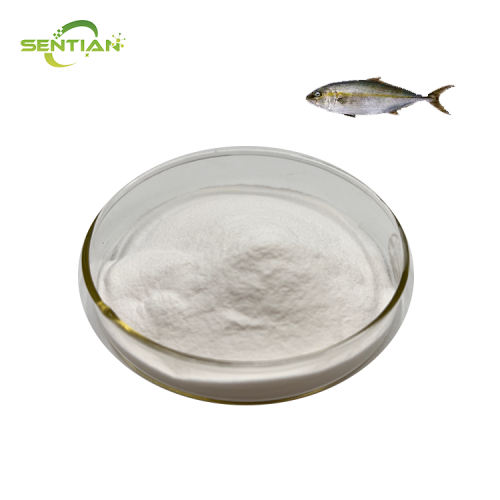 HIGH QUALITY FISH COLLAGEN EXTRACT