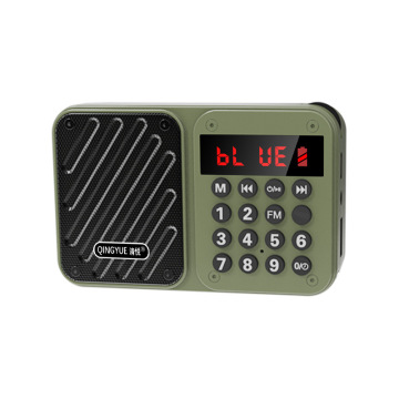 Compact FM Radio Speaker with USB/TF/FM Connectivity