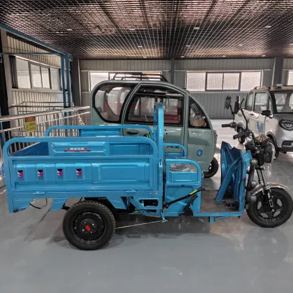 Adult Electric Cargo Tuk Tuk Tricycles - Price and Motorized Options