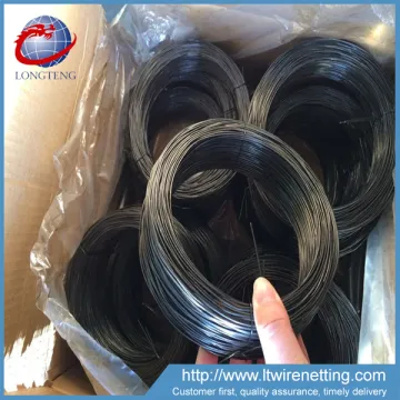 black annealed twisted tie wire factory,double twisted wire mouth bit,spring twisted wire