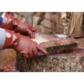 Αδιάβροχα γάντια PVC στην αλιεία