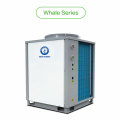 New Energy Commercial Heat Pump for Swimming Pool