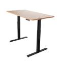 Electric Standing Desk with Wooden