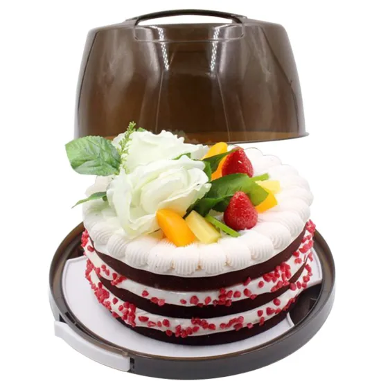 2017 newest plastic portable storage box cake carrier with ice pack platform