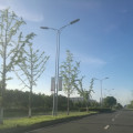 Street lighting pole ,high mast pole