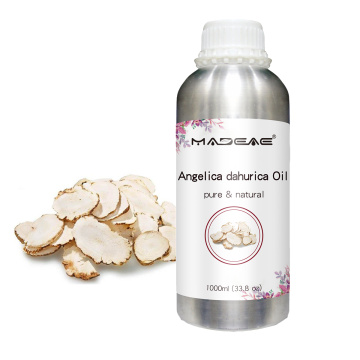 100% de fragrância e perfume Angelica Dahurica Oil por atacado