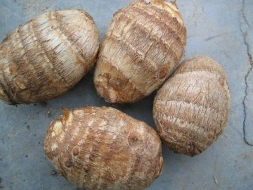 2014 Taro