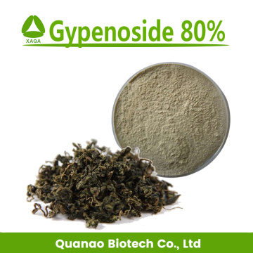 Gynostemma Pentaphyllum Leaf Extract Gypenoside 98% Powder