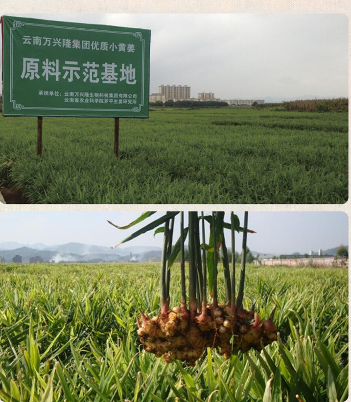 120g box of pure ginger powder