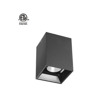 Daytonled Master B Series LED Downlight - ETL CETL Certified, Various Wattages and CRI Options