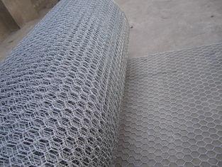 Plastic Coated Chicken Wire Mesh / Low Carbon galvanised wi