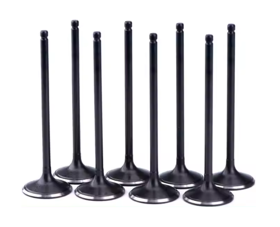 Intake Valve MD198404 for Engine