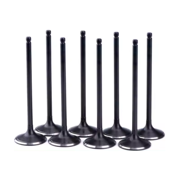 Intake Valve 22211-42520 for Engine
