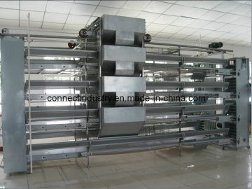 Chicken Cage for Layers