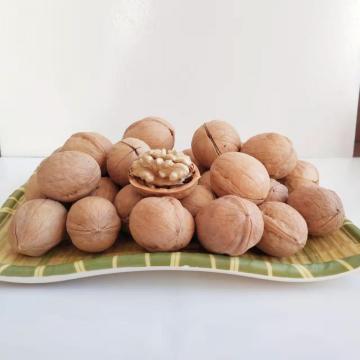 Walnut Wholesale Price Xinjiang Aksu Walnuts Thin Shell Walnuts