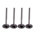 036109601AD Intake Valve for Engine