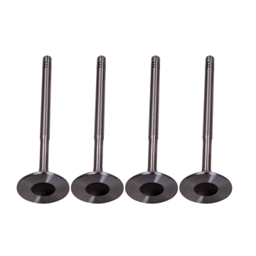 036109601AD Intake Valve for Engine