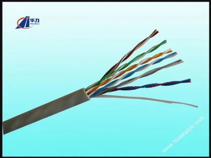 LAN cable