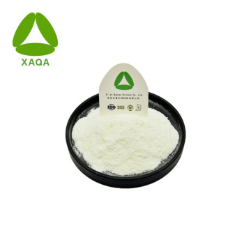 Gastrin I Human Powder Cas nr 10047-33-3