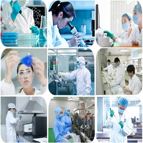 Acid Dipalmitate Powder Kojic Acid Dipalmitate Powder CAS 79725-98-7 Factory