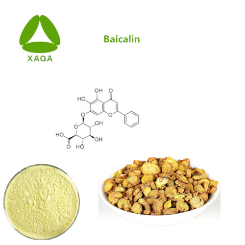 Baicalin 85% Natural Antioxidants Boosts Immunity Material Baicalin 85% Factory