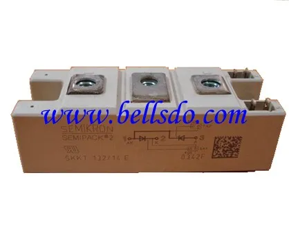 IGBT module SKKT13214E