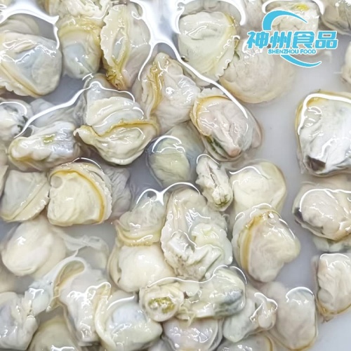Vongole di fiume vive di alta qualità e prelibatezze acquatiche sbucciate