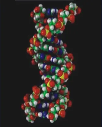FLA6000 Micro Fiber Optic Spectrometer - NIR Spectrometer (1600nm)