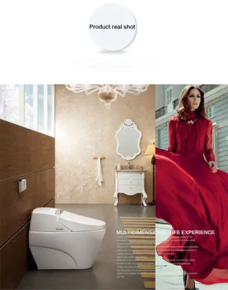 smart smart vagina toilet automatic acrylic toilet