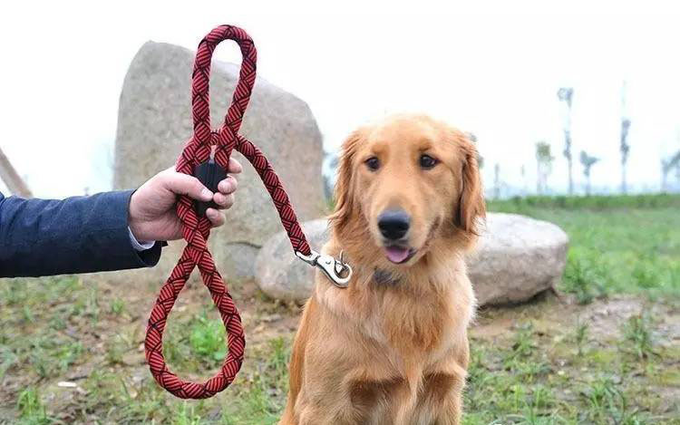 Nylon Climbing Rope