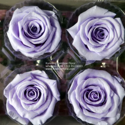Cheapest Maybelline Eternal Rose Prices All Year for Benchmark Bouquets