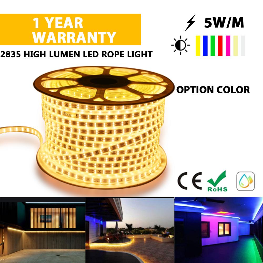 Hot sale LED strip light holiday light