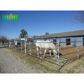 High Quality Hot Sale Galvanized Cattle Horse Fence