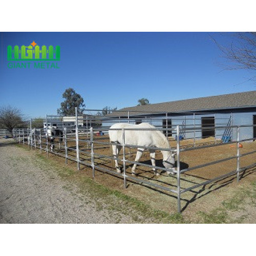 High Quality Hot Sale Galvanized Cattle Horse Fence