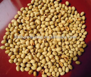 organic roasted soybean