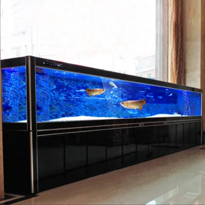 Customized Large Dragon Fish Acrylic Aquarium with Cabinet - China Supplier