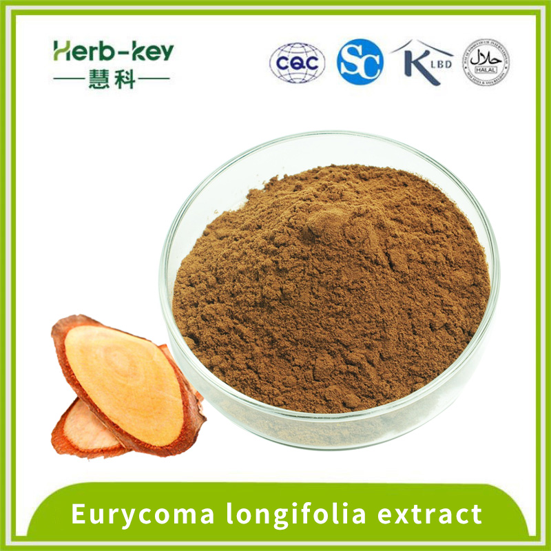 2% de poudre d'Eurycomanone Eurycome longifolia