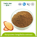 1% Inhalt Eurycomanone ist Eurycoma Longifolia Extrakt