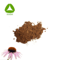 Natural Organic Echinacea Extract Polyphenols Powder 30%