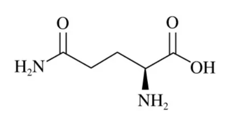 High Purity L-Glutamine Powder