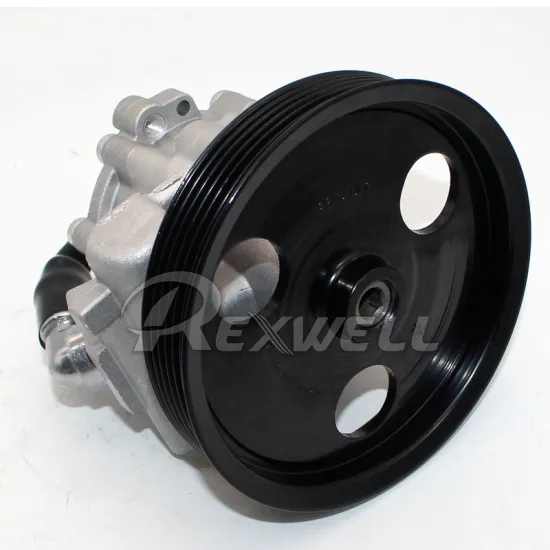 Hydraulic Auto Power Steering Pump for Renault Duster 491108694R