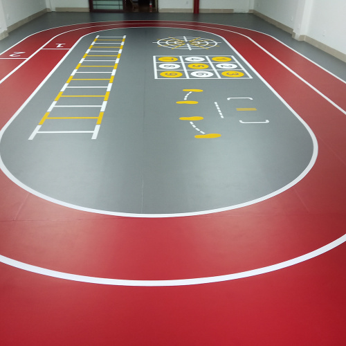 Professional 3D Customized Basketball Flooring for indoor Purpose