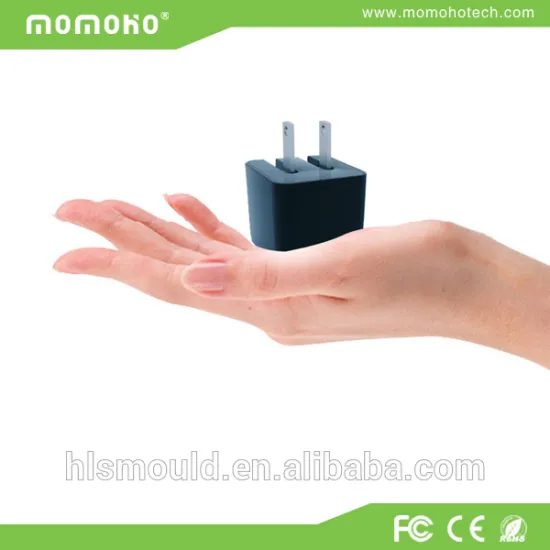 Made In China Functional Travel Charger with Output DC 5V 1A/2.4A