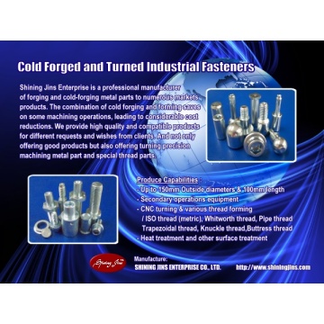 ,Fasteners - Industrial metal cold forging and stamping