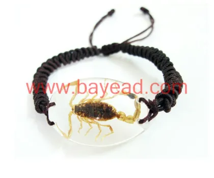 Supply Real Scorpion Inside Amber Bracelet Jewellery