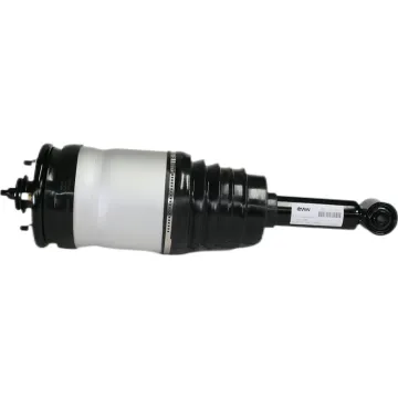 RTD501090 Rear Air Suspension Shock Absorber for Land Rover Discovery 3