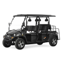 Electric UTV con EEC 5KW Electric UTV