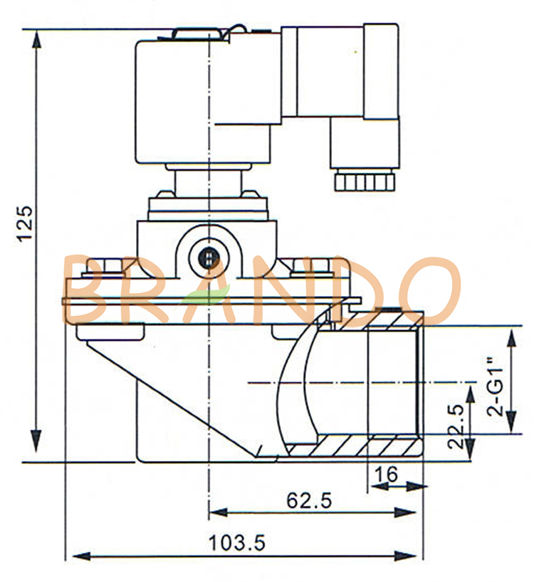 25t bs